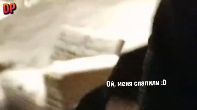 НОВОГОДНЕЕ ПОЗДРАВЛЕНИЕ | С Новым 2023 Годом!