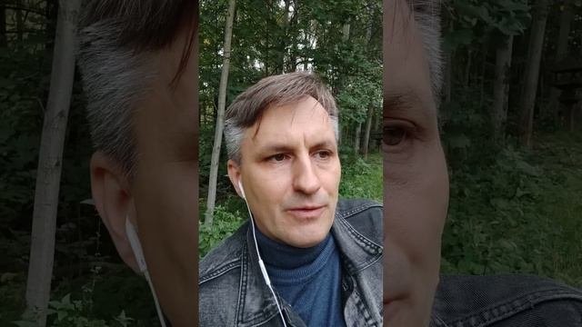 Почему кошке не нужен влажный корм