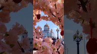 #Россия_Храм Христа Спасителя, Москва