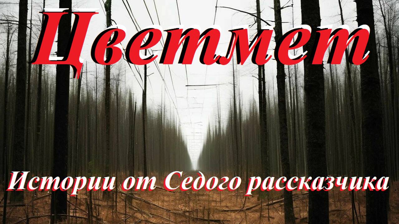 "Цветмет"
Истории от Седого рассказчика
#истории #мистика #рассказы#деревня#на_ночь#страшные