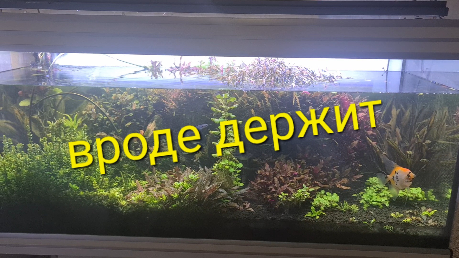 Вроде держит воду