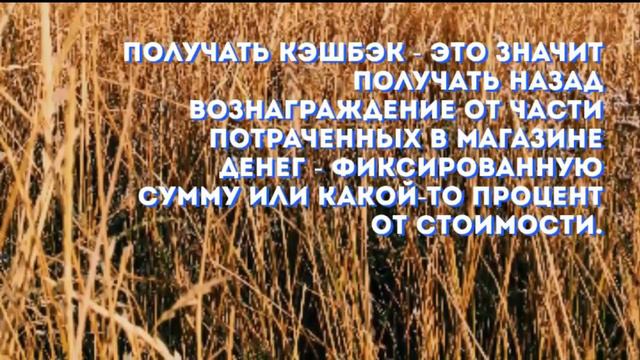 Что такое Кэшбэк и наскольклько это выгодно.