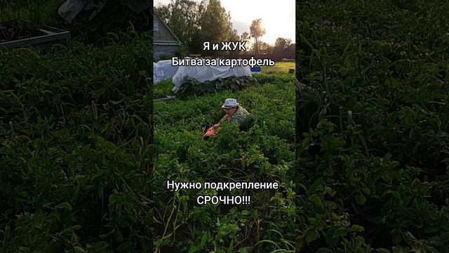 коларад.mp4