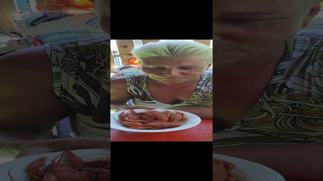 VID_20220808_135533.mp4