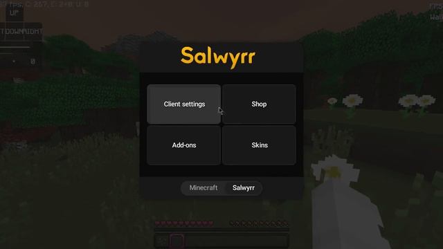 Salwyrr Free capes and Cloaks Update V4|Need to know about Salwyrr client