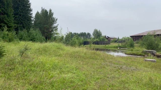Родниковая вода, завели кур-несушек