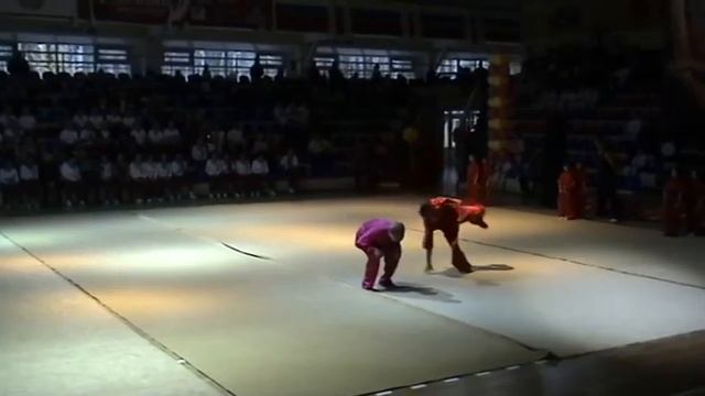 Выступление клуба Архат на 5 гимнастраде