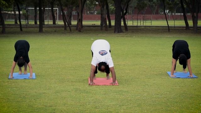 Surya Namaskar Yoga | First time with Mantra Chanting | Yoga Day