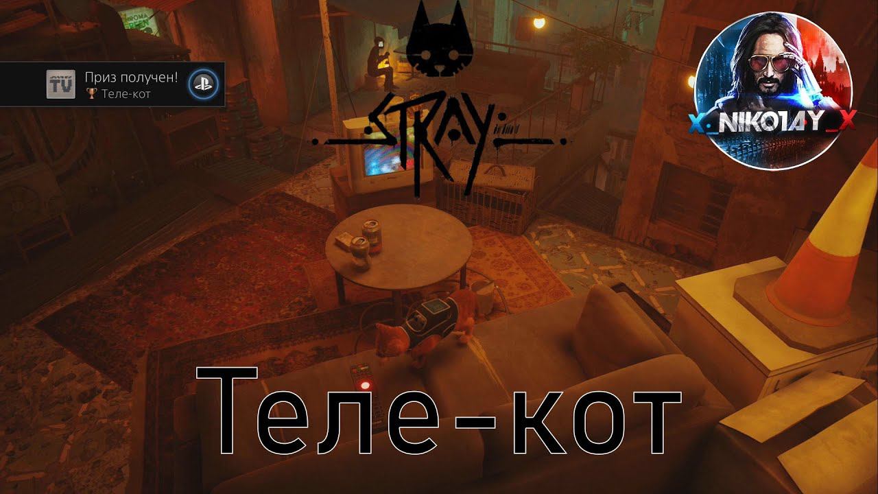 Stray Просмотрите все телеканалы [Télé à chat / Теле-кот]