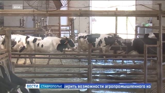 На Ставрополье решают вопросы импортозамещения в племенном деле