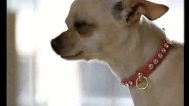 Reklama Hyundai i30 - PL 2007 (Commercial) Beagle
