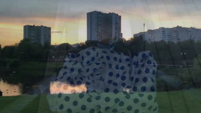 Прогулке в коляске с реборном