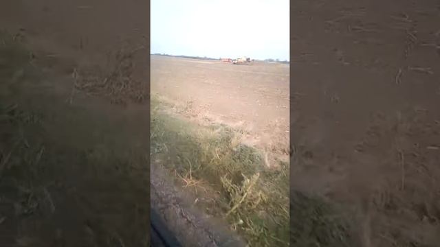 Вот что тварица в силе надеждино