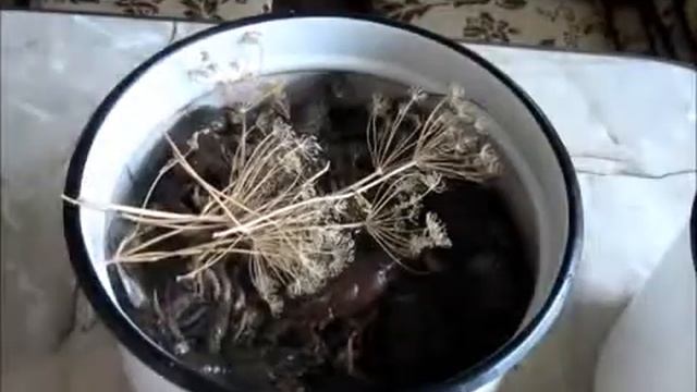 Как сварить раков