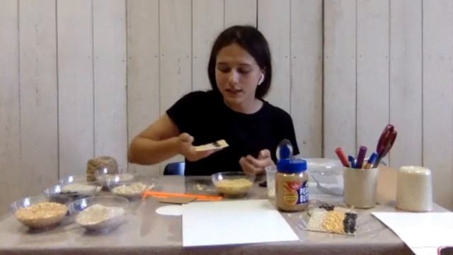 Мастер-класс Лакомство для птиц