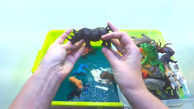 Игрушечные животные достаем из воды. Обучающее видео для детей | Животные зоопарка | Игрушки