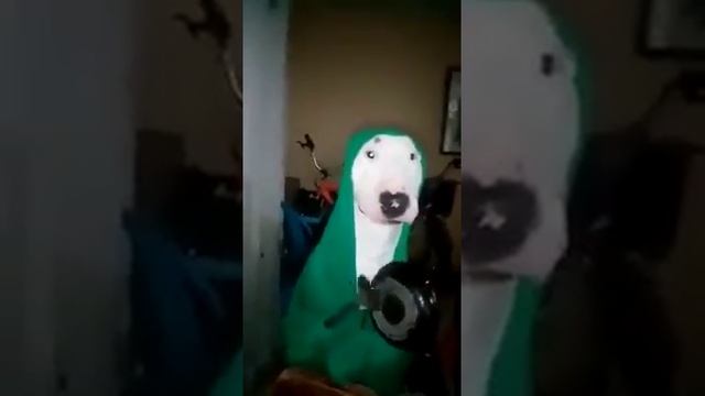 жрать хочу