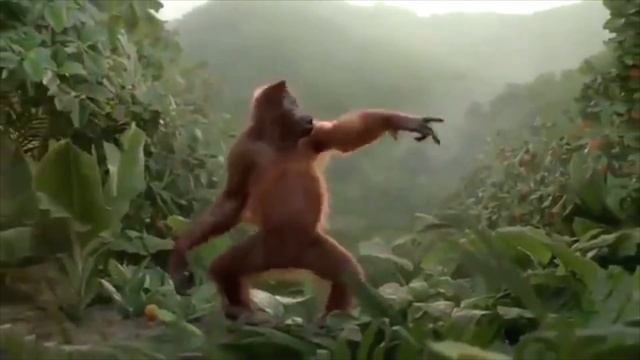 monkey dance | gummy bear remix 2k18