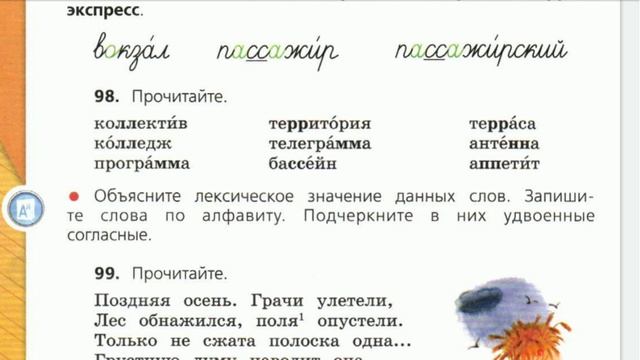 Русский язык, 4 класс. Слова с удвоенными согласными. Лексическое значение. Упр. 98