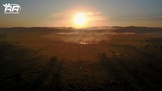 Relieve Yourself In Nature's Soothing Oasis: Tranquil Piano Music Reduces Anxiety And Stress