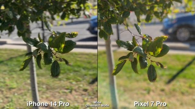 Pixel 7 Pro vs iPhone 14 Pro Camera Comparison