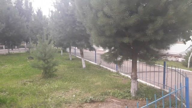 Озеленение школы,это классно.