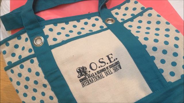 HAVINGUON'S Reborn Baby ROSE Doll Show Haul & Gifts! Come See!