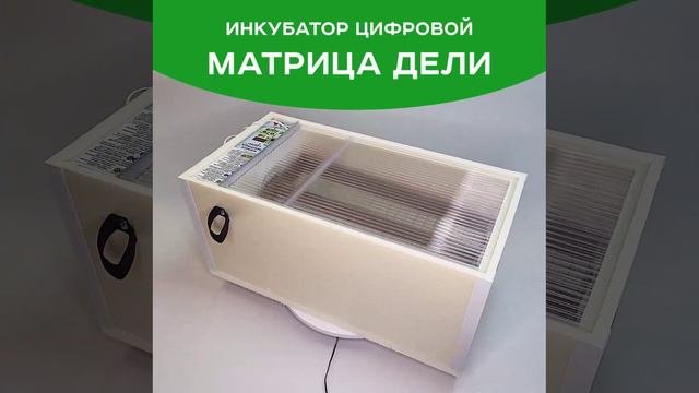 Дели Матрица