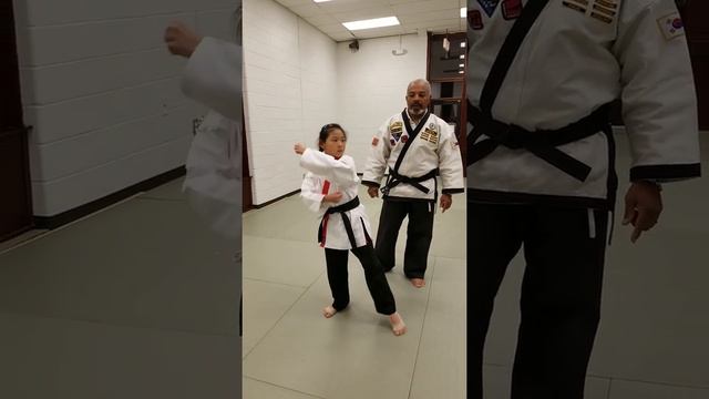 WCRB Karate - Gold Belt Pattern - Part 3