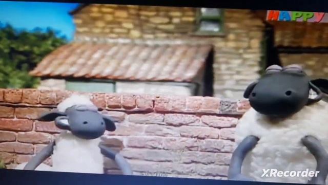 Баранчик Шон прискорений на 100