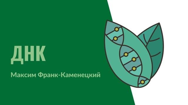 14. ДНК - самая главная молекула