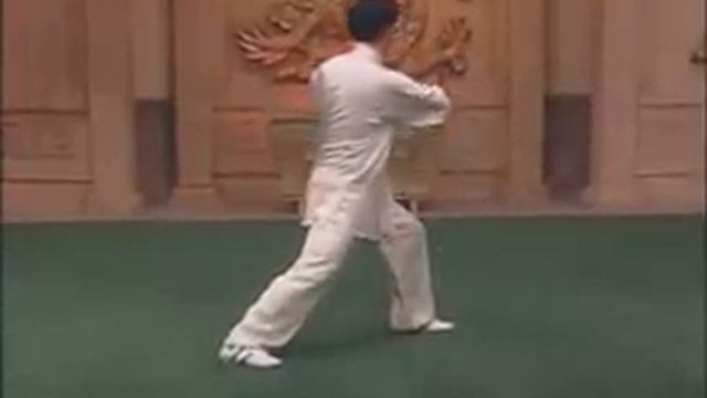 Chen Zhenglei 18 Form