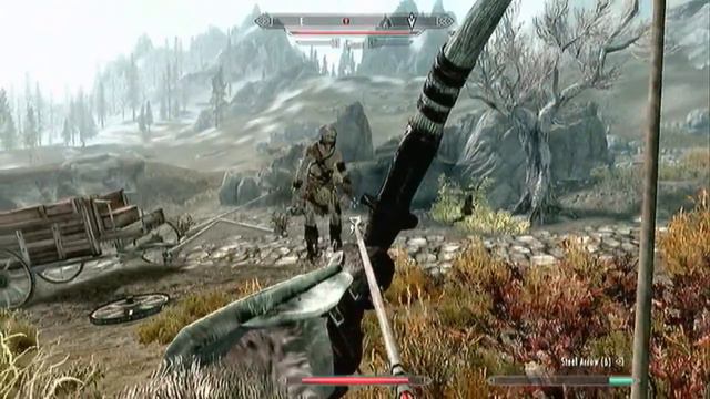 SKYRIM- KHAJIIT'S CAN FLY AND GUARDS ARE DUMB