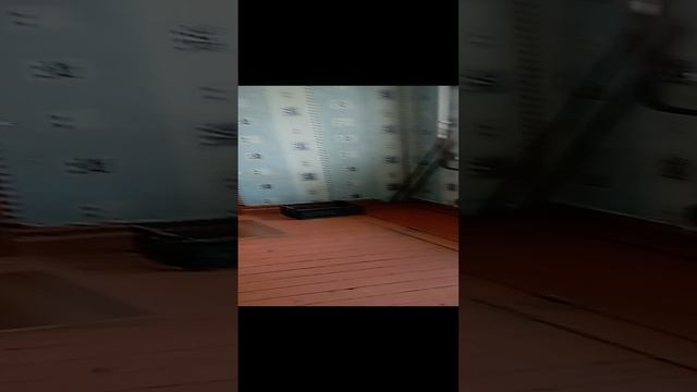 VID_20231020_113821.mp4