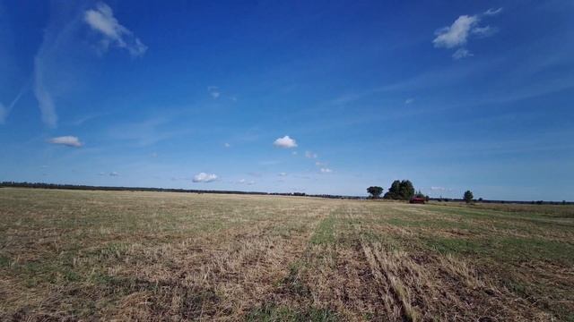 No-till в животноводстве