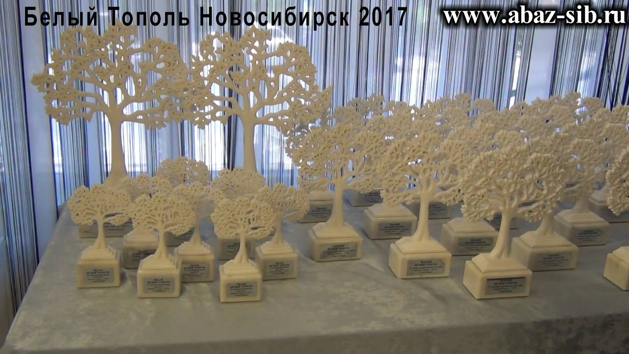 Белый Тополь Новосибирск 2017 АБАЗ-СИБИРЬ тпк