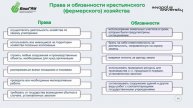 14.2.2 Неделя 1 (Тема 2) Цифровые технологии начала организации предпринимательской деятельности...