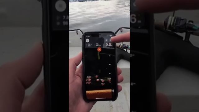 Эхолот для рыбалки. Технологии в рыбной ловле