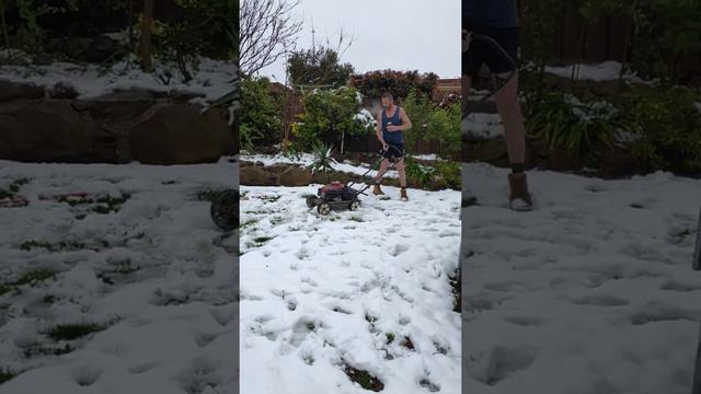 A Mow Through Snow   ViralHog