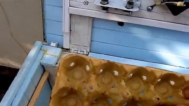 ВЫ такого инкубатора еще не видели!