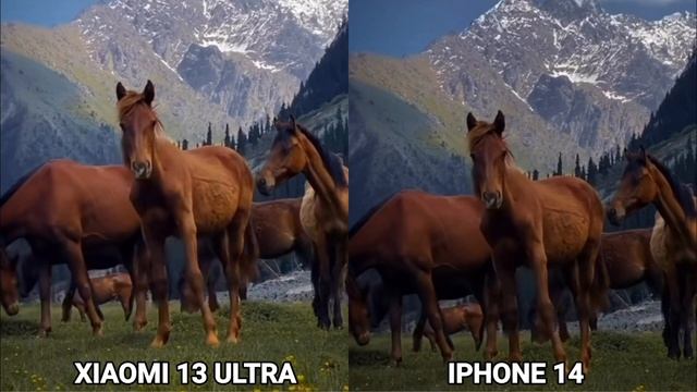 Xiaomi 13 Ultra vs iPhone 14 camera test Comparison