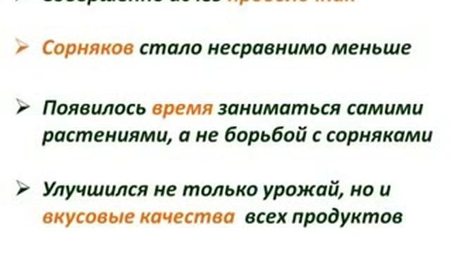 Людмила Соломонова Пять уроков по ЭМ технологии