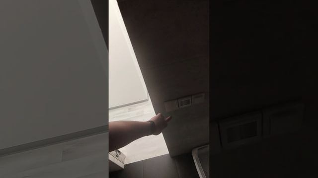 Возможная реализация туалета-ванной в "умной" квартире #умныйдом