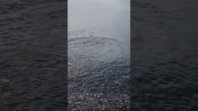 Купаемся в Чёрном море 02.11.23г