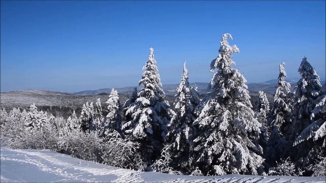 winter forest / Relax music/