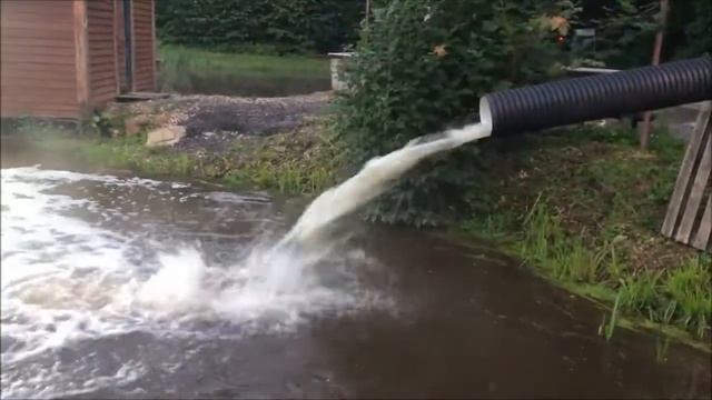 Зарыбление верхнего пруда карпом 1500 кг.