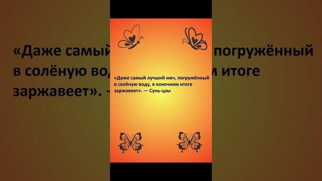 #статус #статусы #цитата #цитаты