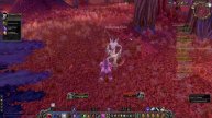 Let's Play World of Warcraft - TBC Classic - Night Elf Druid - Part 9 - Gameplay Walkthrough