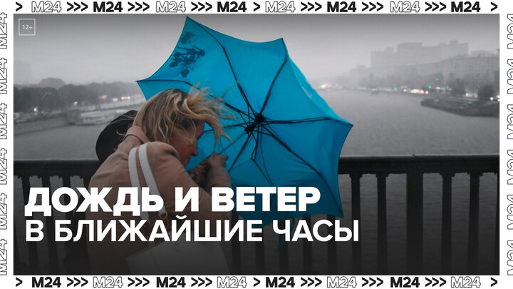 Дождь и сильный ветер ожидается в Москве 5 мая - Москва 24