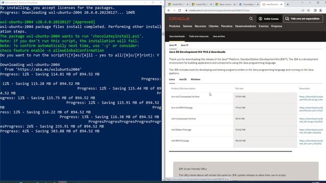 PODMAN O SOFTWARE COMO INSTALAR  E USAR - PARTE 1